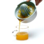 Presse Citron Individuel